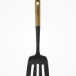 Spatola forata Staub 