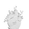 Vaso LOVE IN BLOOM vetro 